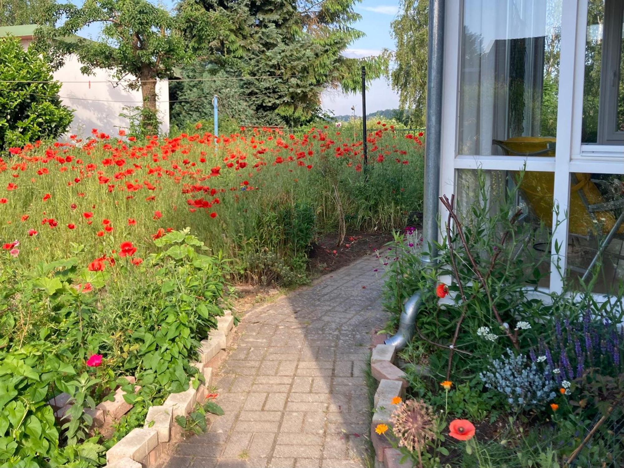 Ferienhaus Am Wasser Im Gruenen Zecherin Екстериор снимка